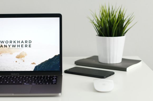 Online Business - MacBook Pro near green potted plant on table